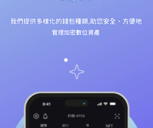 剝繭抽絲：多位資安專家聯手起底「虛假SafePal」平台伺服器真實所在地的調查報告