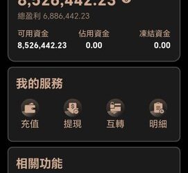 借鑑國際案例：境外類似「C2C」的平台崩塌後，資金流向的真實軌跡