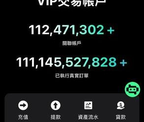 被放大的投機欲：從「saelvex」平台看高壓社會下人們對暴富的病態渴望